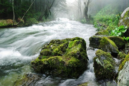 Eau potable, eaux usées et eau pluviale